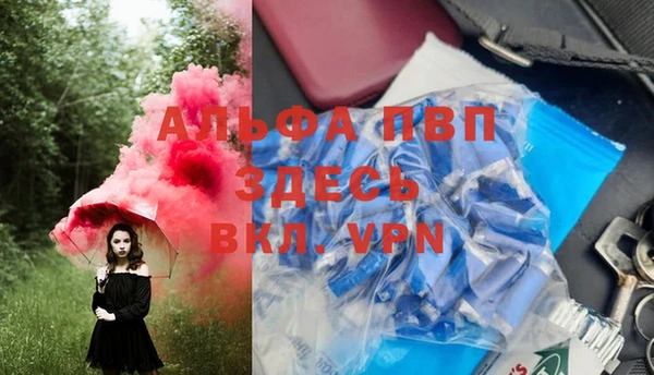 дмт Заводоуковск