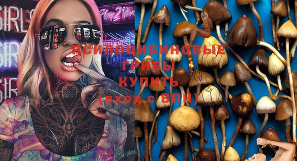 мескалин Зеленокумск