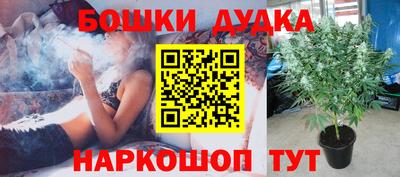 амф Будённовск