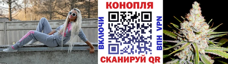 Каннабис ГИДРОПОН Долгопрудный
